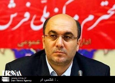رییس مرکز ملی فرش: حوزه فرش درآمدزایی بالایی دارد