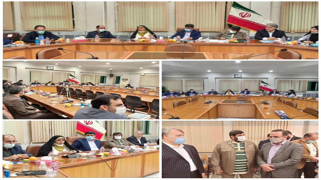 نشست کارگروه فرش دستباف استان مازندران در فرمانداری بابل برگزار شد