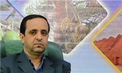 لزوم تشکیل اتحادیه تعاونی فرش در خراسان جنوبی