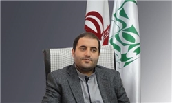 حمایت از فعالان عرصه فرش دستباف در زنجان افزایش می‌یابد