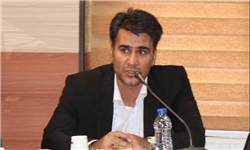 تشکیل کنسرسیوم فرش در استان زنجان
