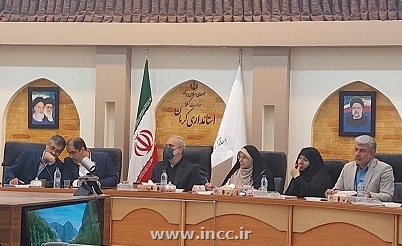 قالی کرمان زیر پای پیشنهادات مسئولین