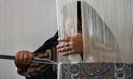 بیمه شدگان فرشباف قائمشهر‌ ساماندهی می شوند
