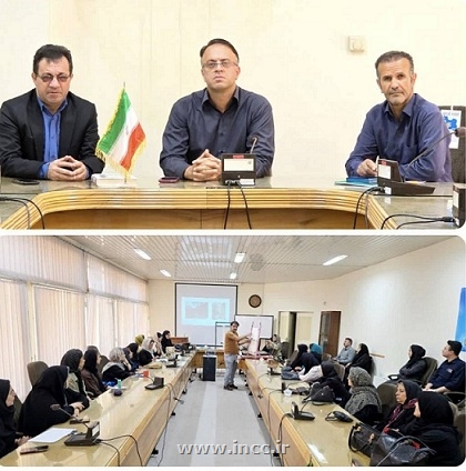 زنجیره ارزش فرش دستباف استان کردستان در آستانه اجرا