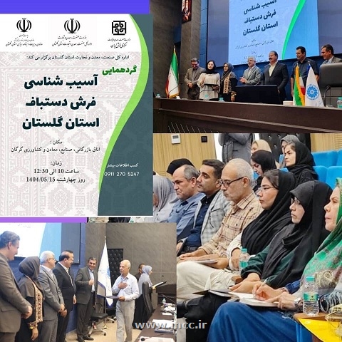 گردهمایی آسیب‌شناسی فرش دستباف استان گلستان برگزار شد؛