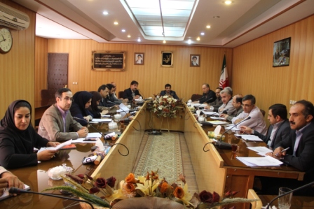 ایجاد زنجیره فرش، جهشی در توسعه کردستان است