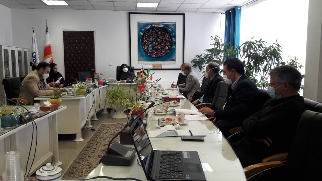 دوازدهمین جلسه ستاد عالي راهبري فرش دستباف تشکیل جلسه داد.