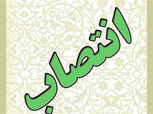 انتصابی دیگر در مرکز ملی فرش ایران
