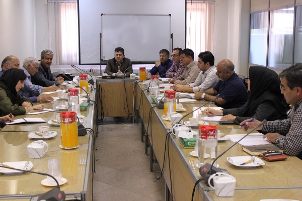 چگونگی نمایش همنشینی دکوراسیون با فرش بررسی شد