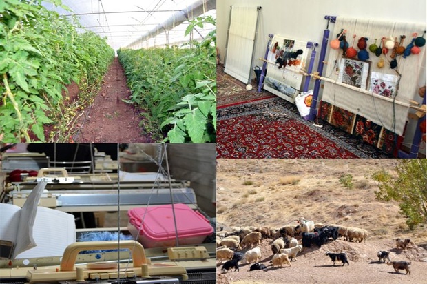 اشتغال 1820 نفر روستایی توسط بنیاد برکت در چهارمحال و بختیاری 