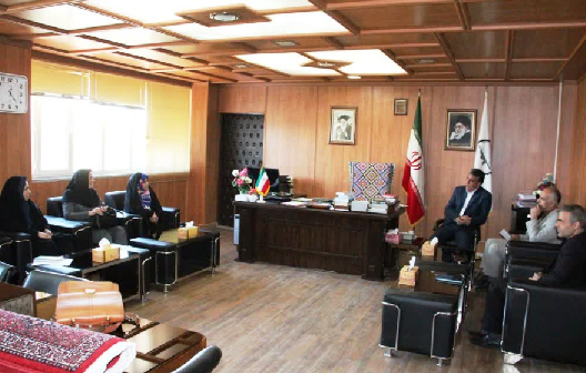 کارگروه فرش دستباف در جنوب استان آذربایجان غربی تشکیل شد