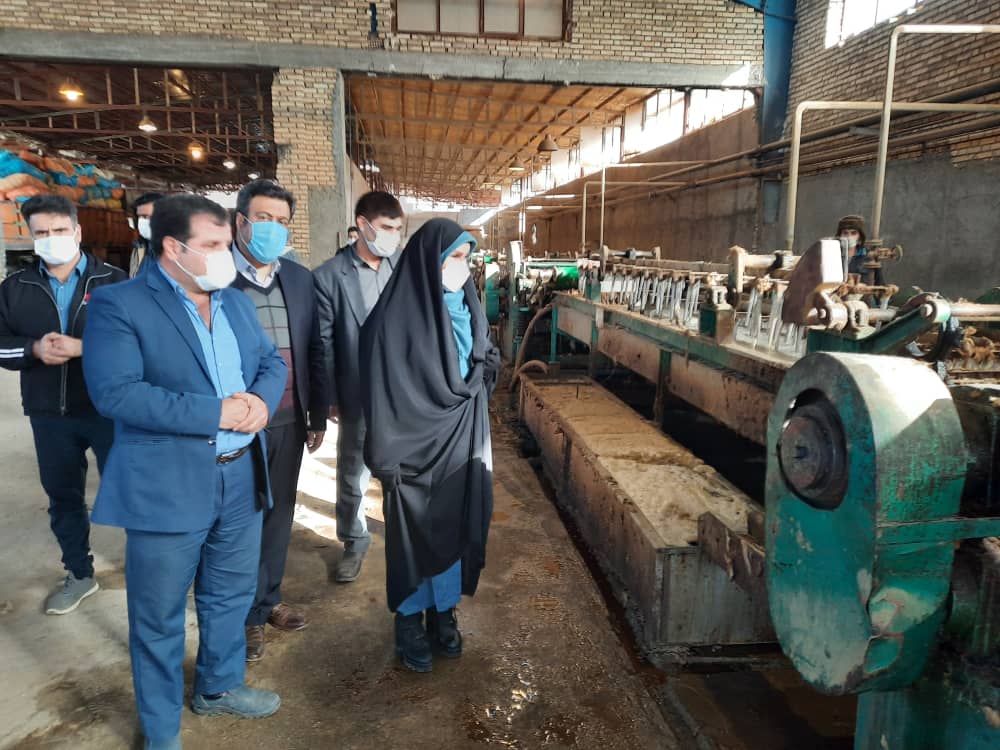 بررسی مشکلات و ظرفیت های فرش دستباف استان کرمانشاه
