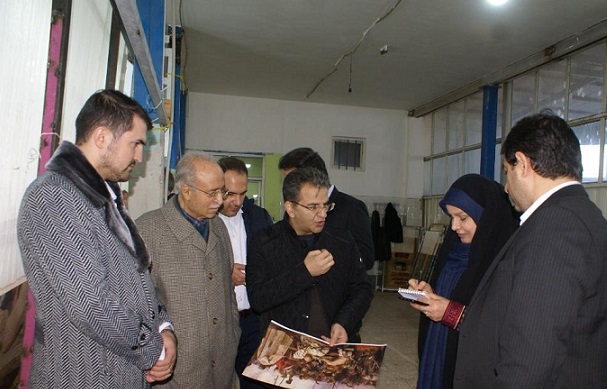 بازدید رئیس مرکز ملی فرش ایران از کارگا‌ه‌های تابلو فرش سردرود