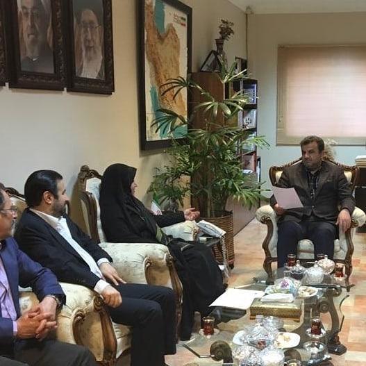 رئیس مرکز ملی فرش ایران/فرش دستباف یک ظرفیت است 