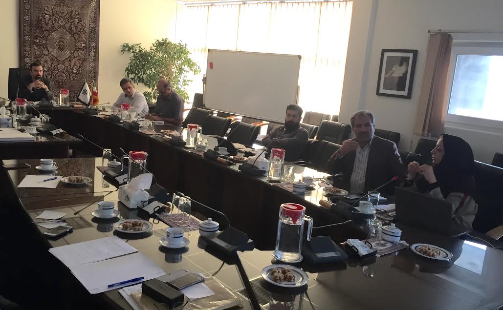 اثربخشي تسهيلات مشاغل خانگي فرش دستباف بررسی شد